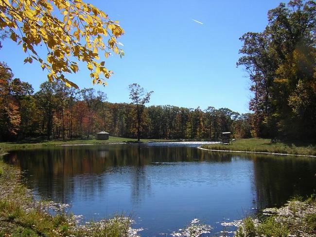 lake1.jpg