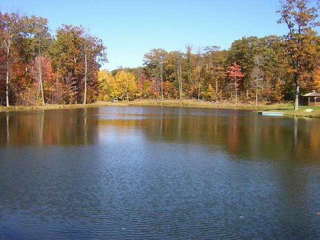 lake2.jpg